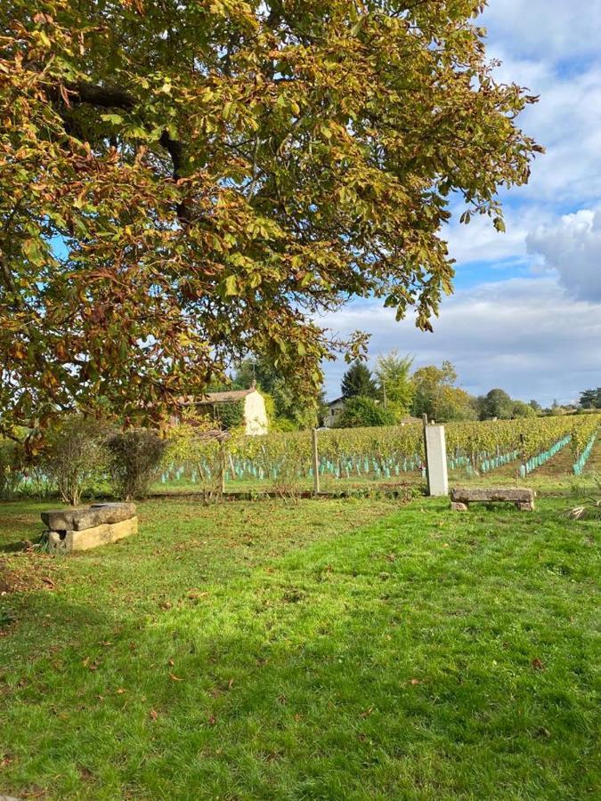 Le Jardin Dans Les Vignes Panzió Barsac  Kültér fotó