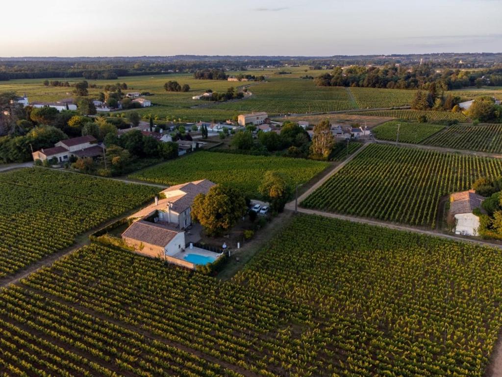 Le Jardin Dans Les Vignes Panzió Barsac  Kültér fotó
